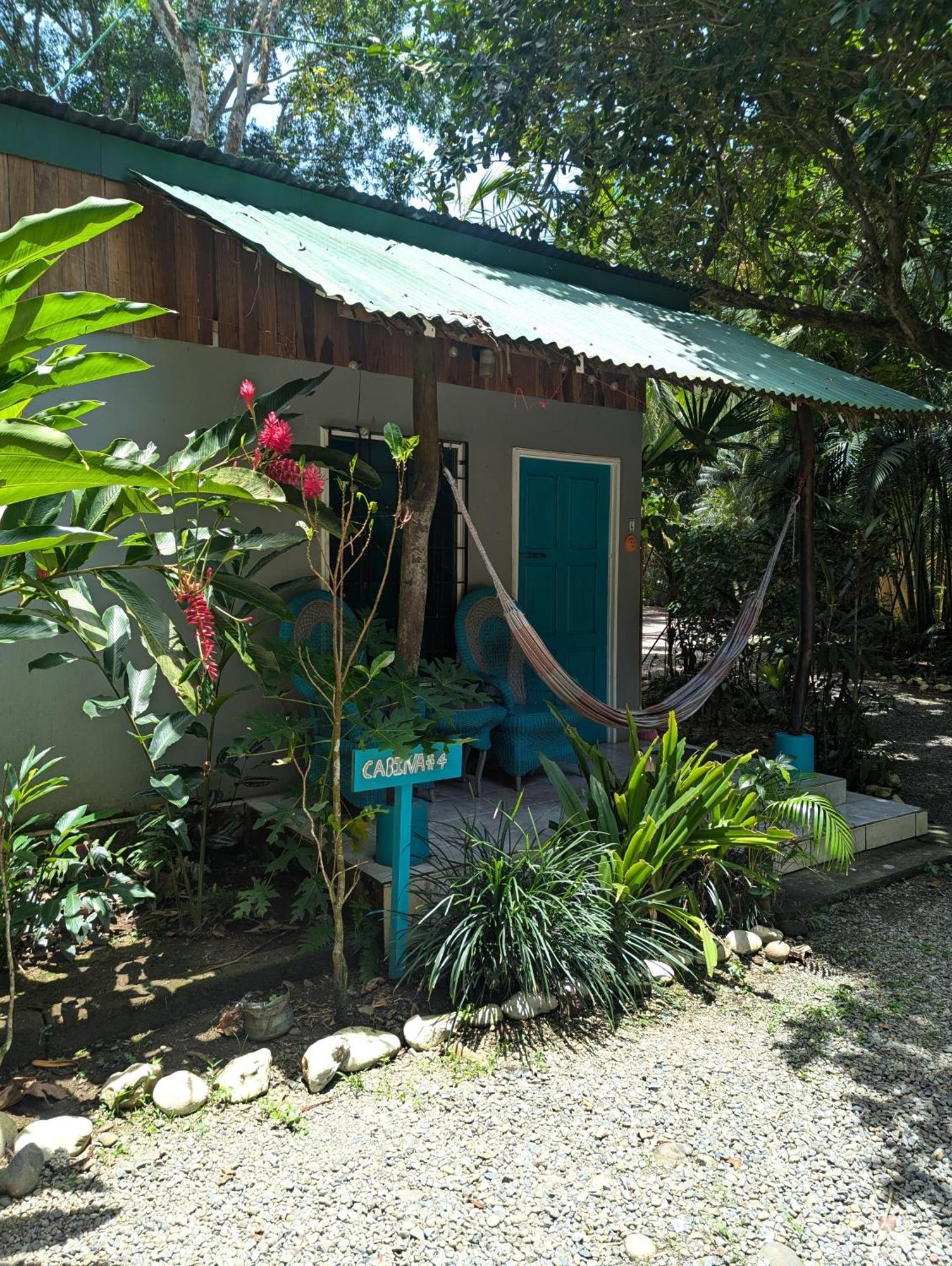 Tasty Dayz Hostel Puerto Viejo de Talamanca Eksteriør billede