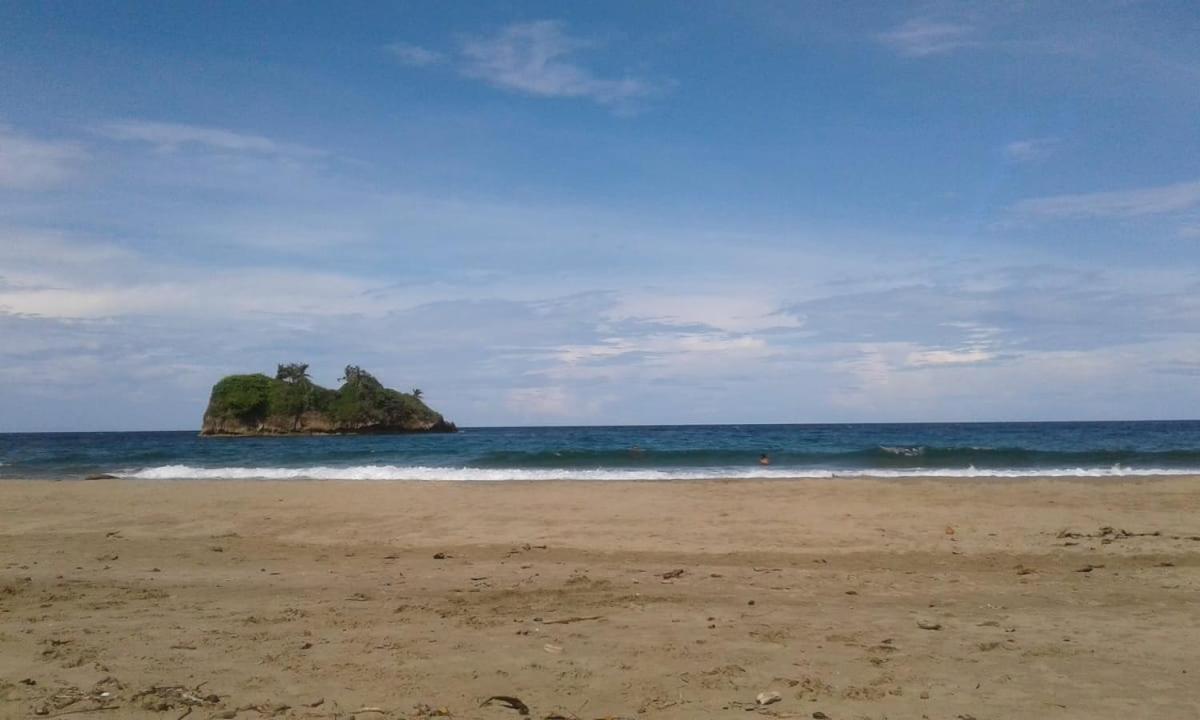 Tasty Dayz Hostel Puerto Viejo de Talamanca Eksteriør billede