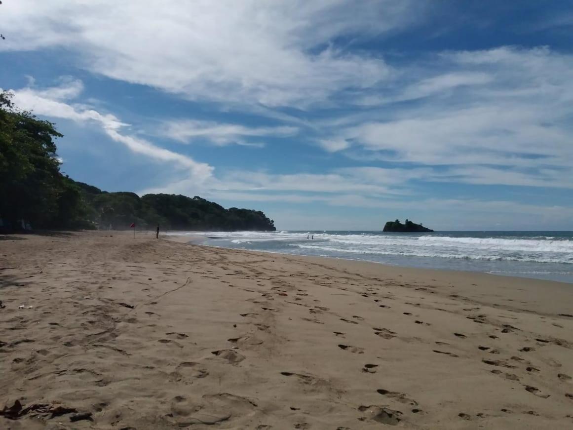 Tasty Dayz Hostel Puerto Viejo de Talamanca Eksteriør billede