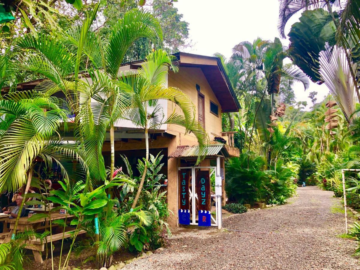 Tasty Dayz Hostel Puerto Viejo de Talamanca Eksteriør billede