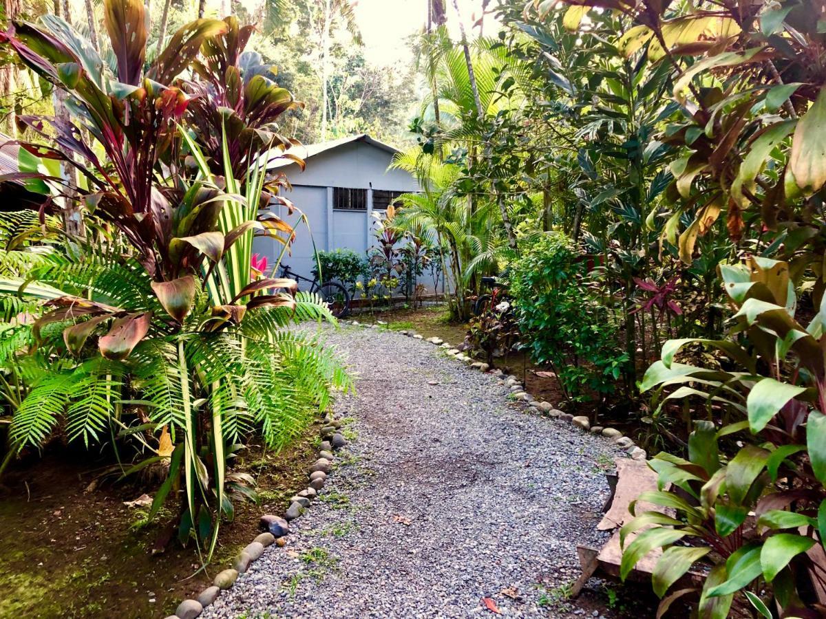 Tasty Dayz Hostel Puerto Viejo de Talamanca Eksteriør billede