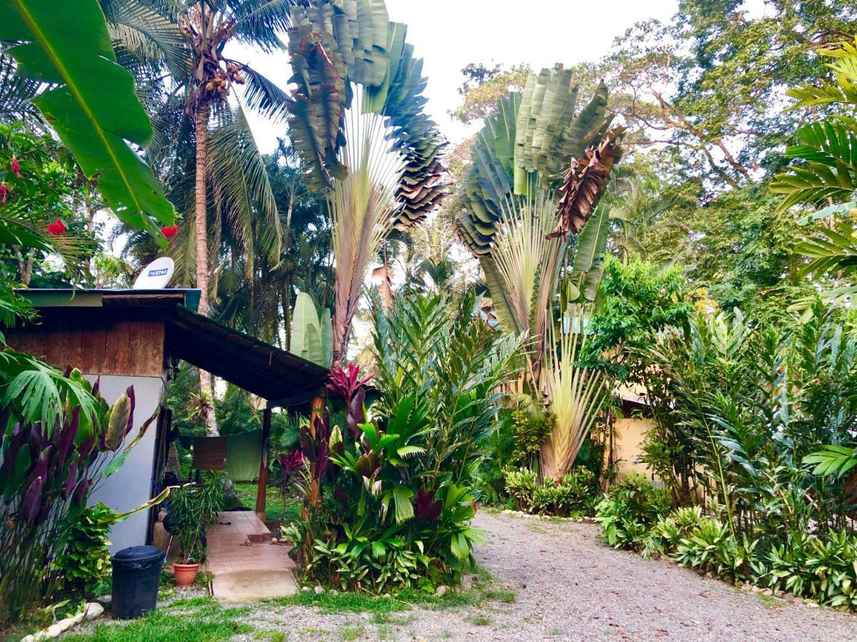 Tasty Dayz Hostel Puerto Viejo de Talamanca Eksteriør billede