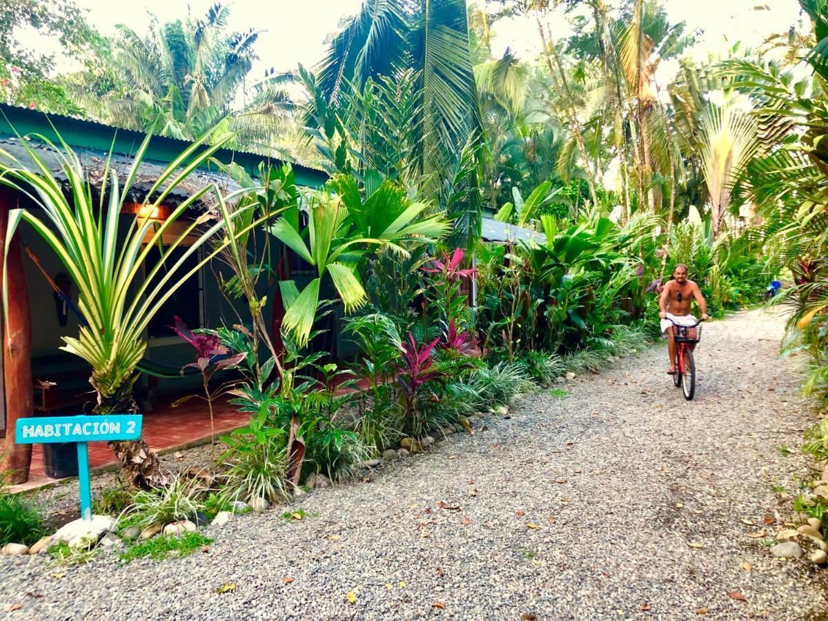 Tasty Dayz Hostel Puerto Viejo de Talamanca Eksteriør billede